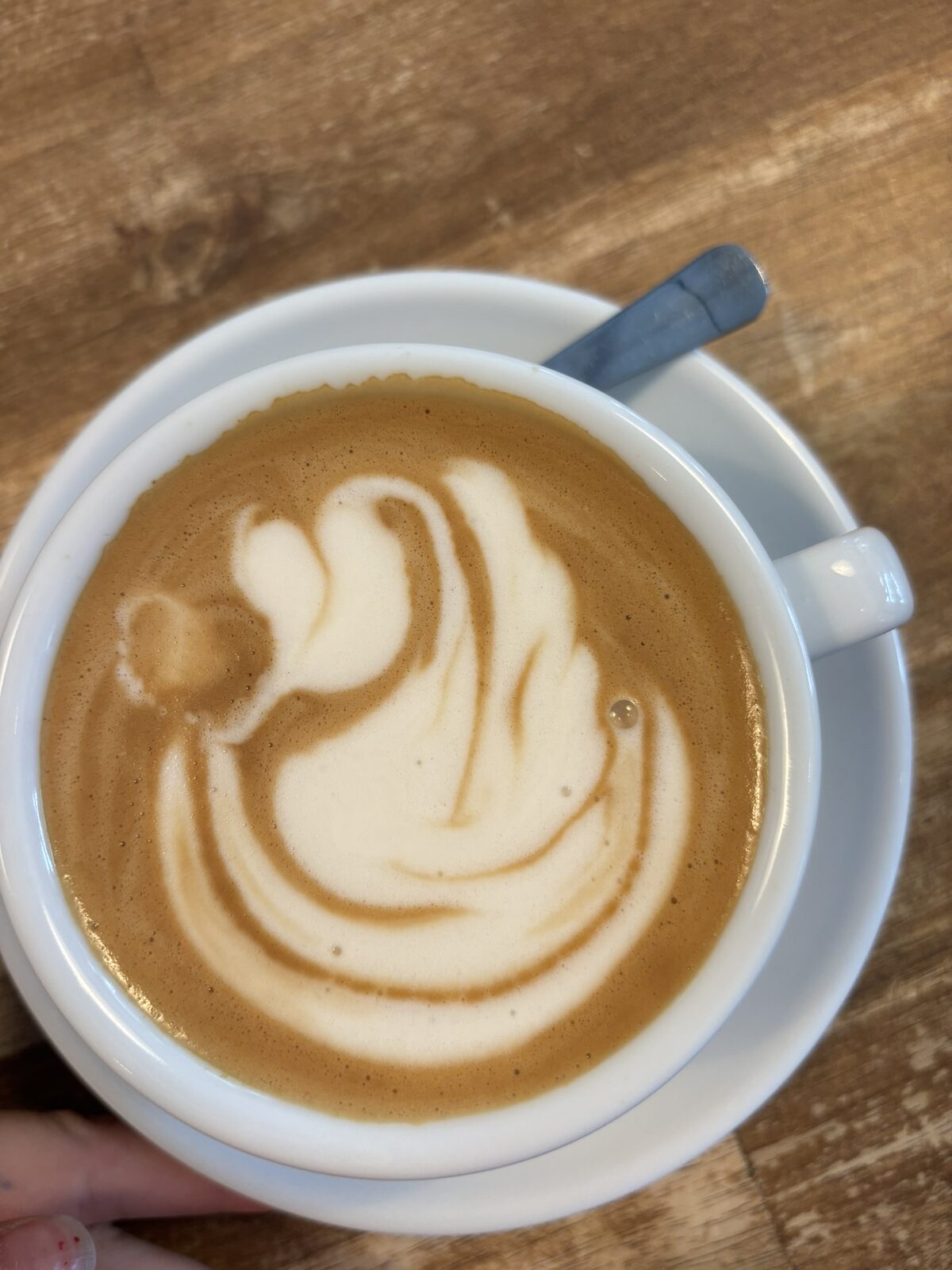 Latte mit Schwan